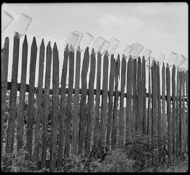 Creator(s): Lange, Dorothea, photographer 